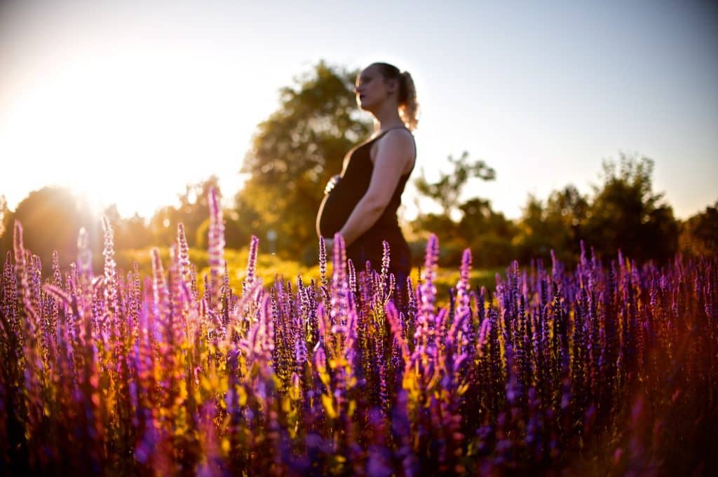 pregnancy and clary sage essential oil
