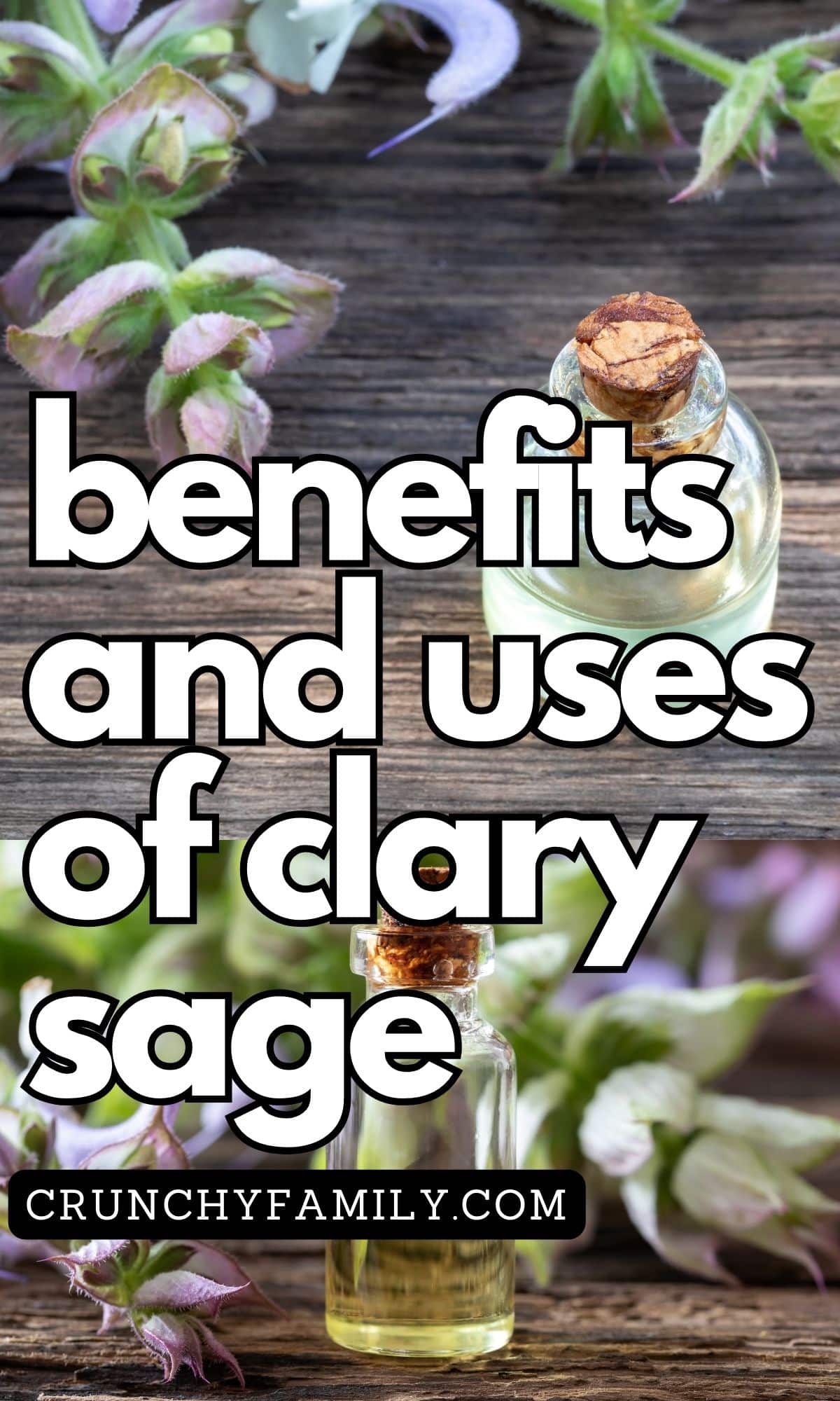 benefits and uses of clary sage essential oil