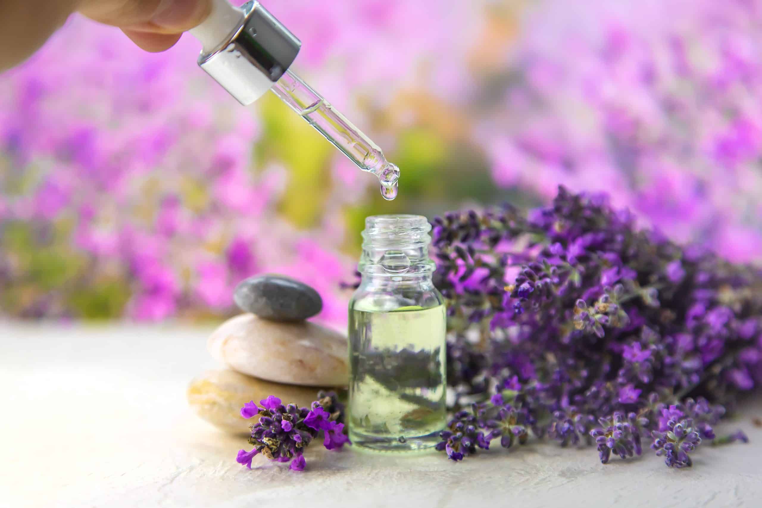 lavender essential oil for wellness