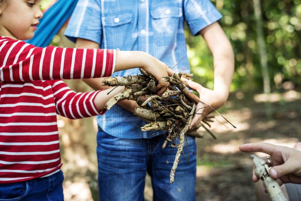kids in nature collecting sticks