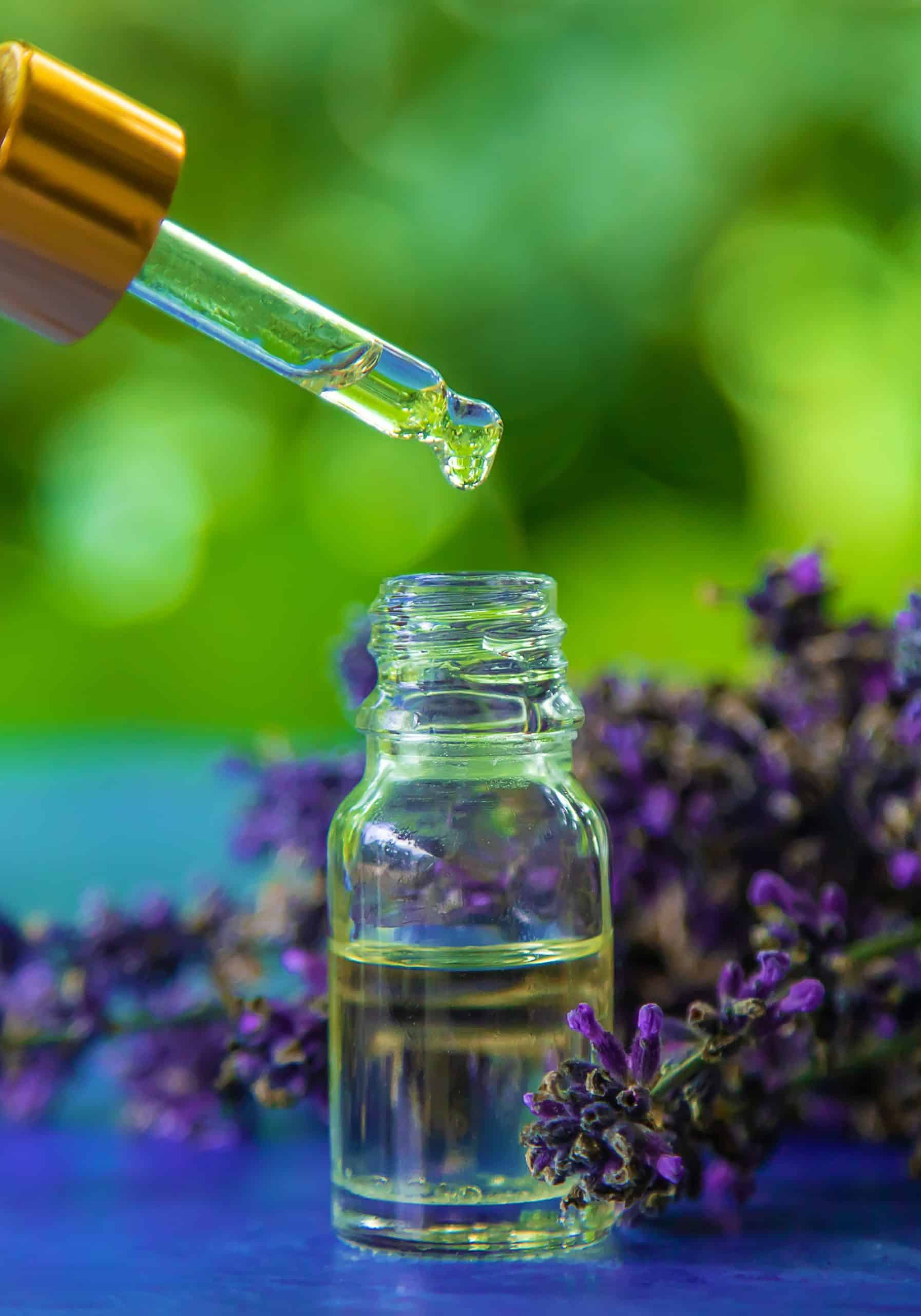 lavender essential oil