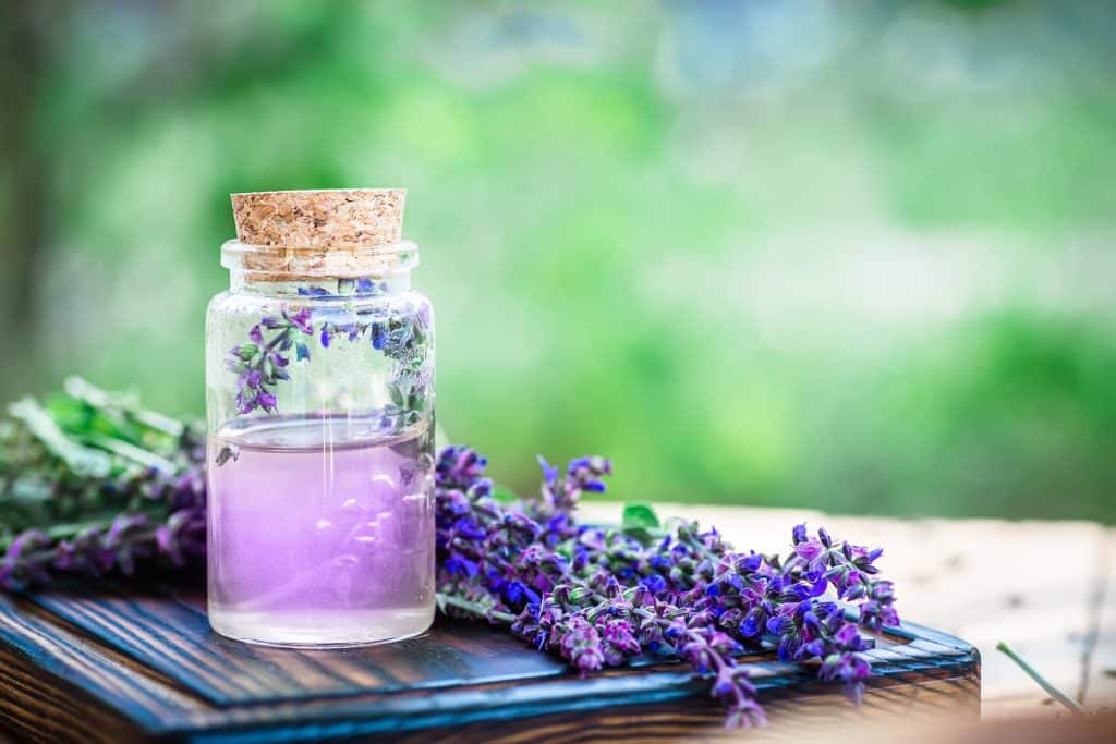 clary sage