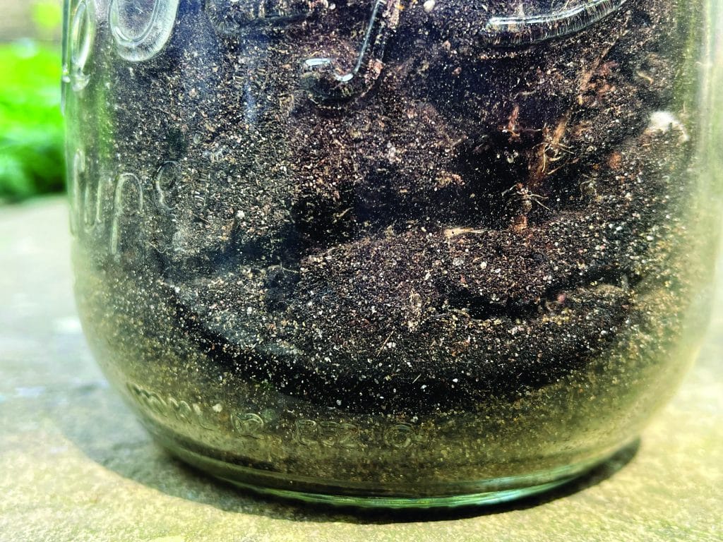 diy homemade ant farm kids science 