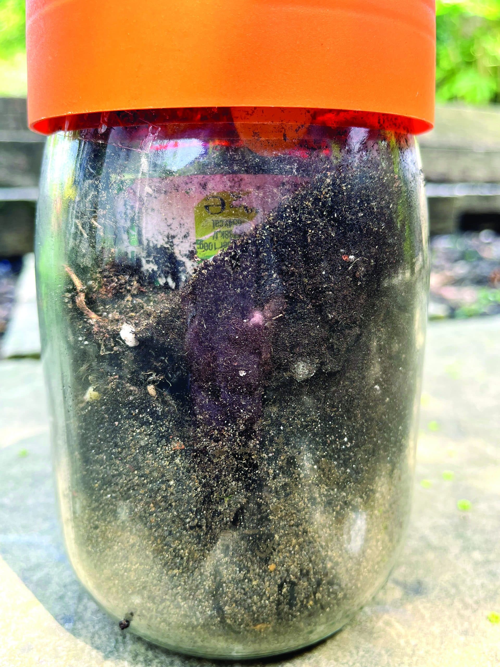 making an ant farm 