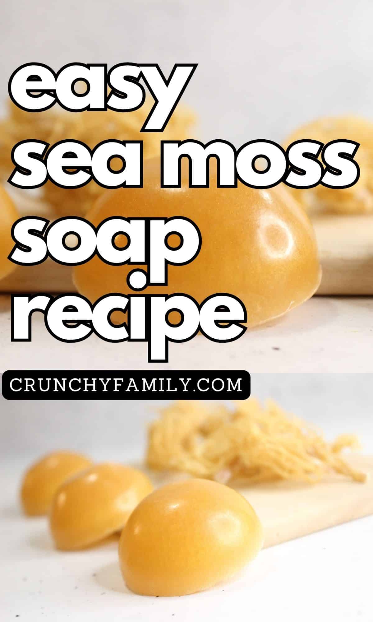easy sea moss soap recipe