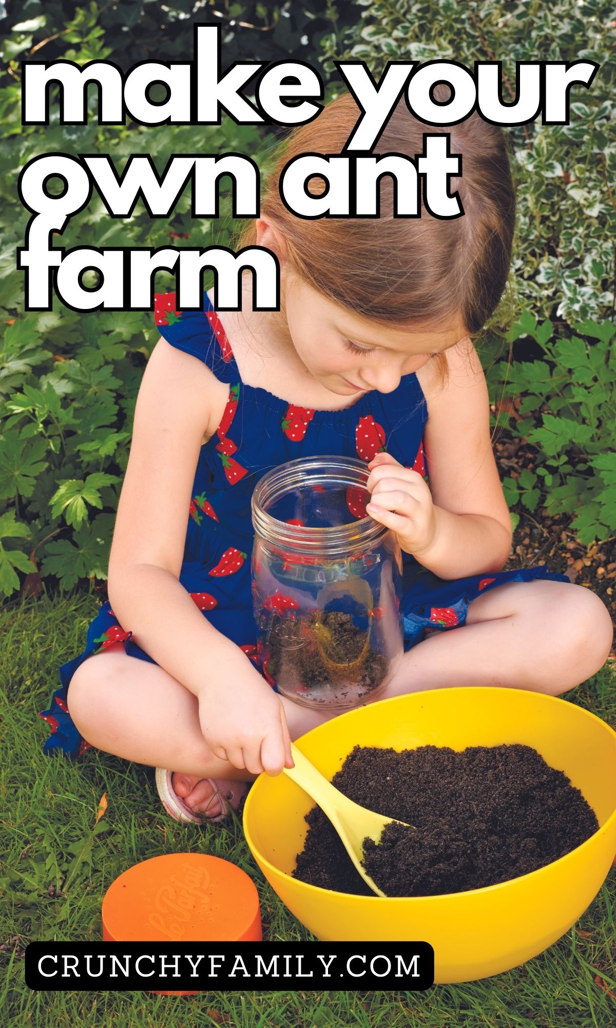 how to make your own ant farm science experiment for kids 