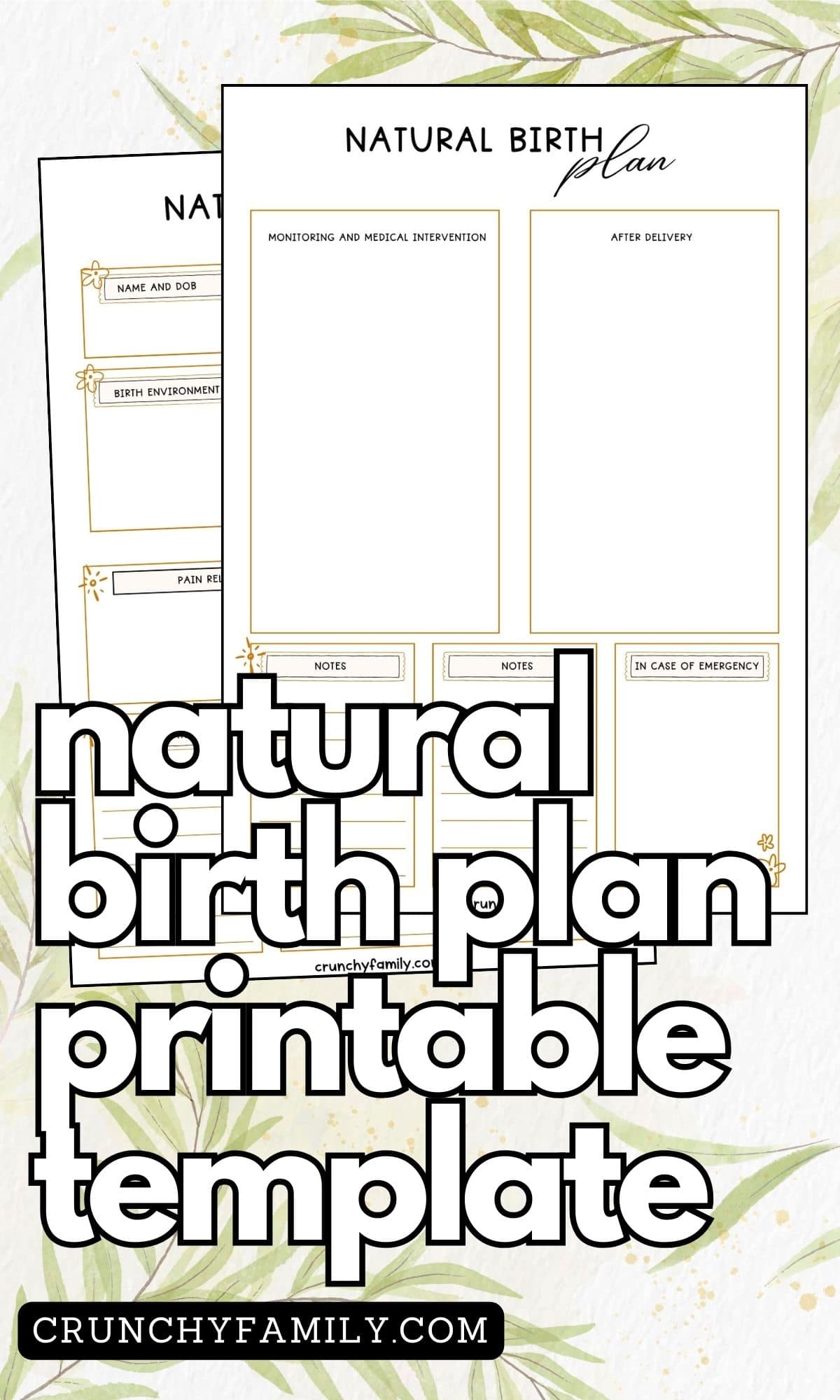 free printable natural birth plan template pages 