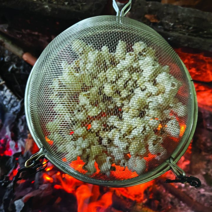 Campfire Popcorn Maker Forest School Activity