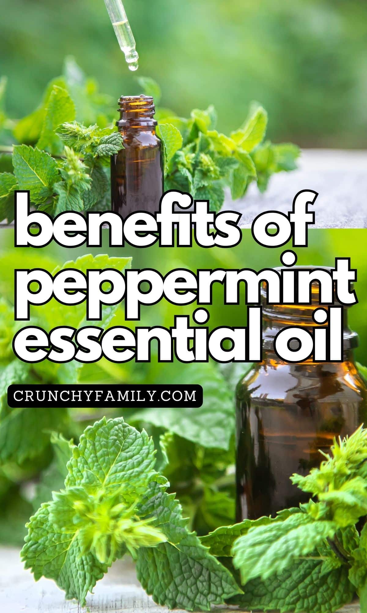 benefits of peppermint essential oil