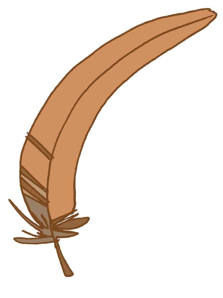 feather