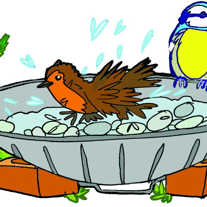 How to Make a DIY Bird Bath