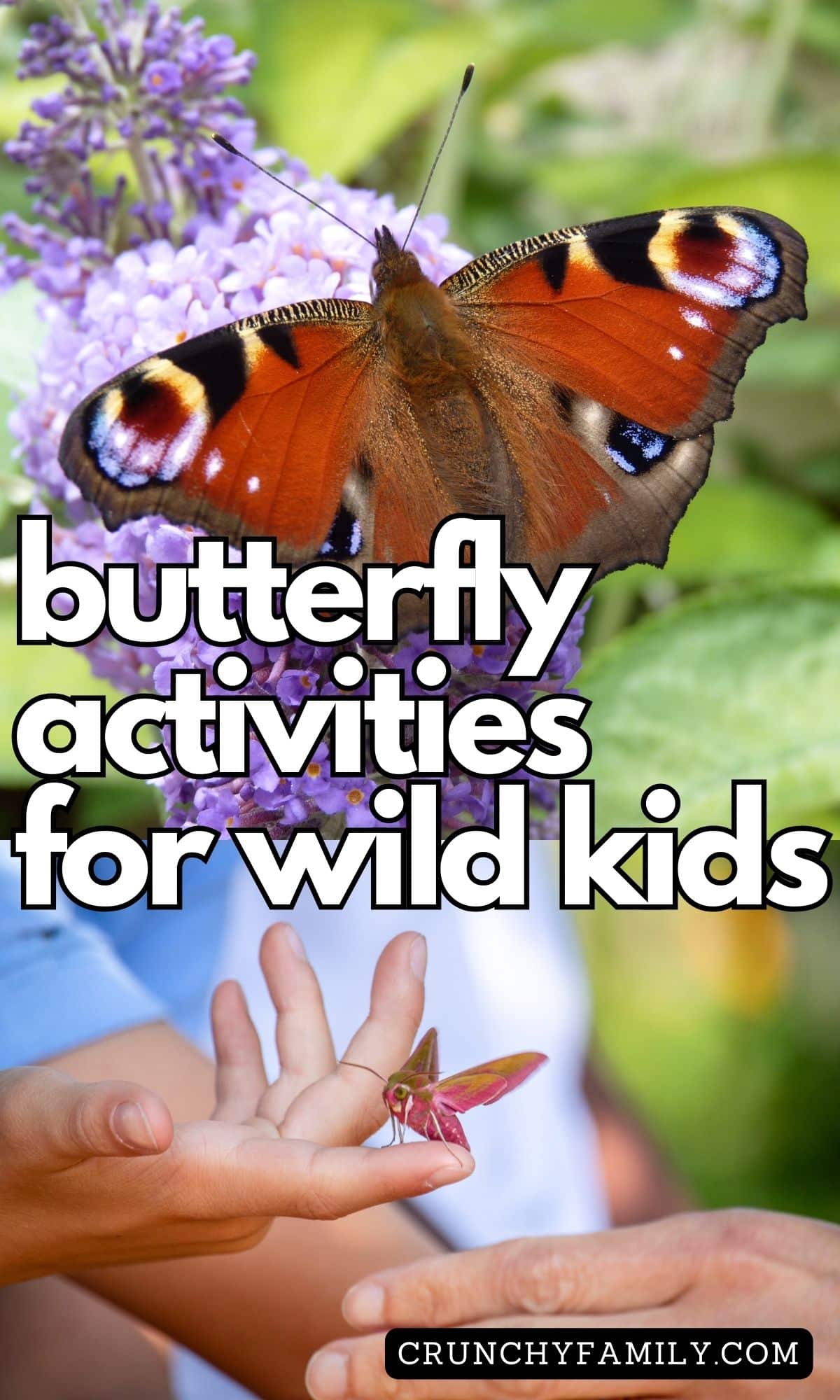butterfly activities for wild kids
