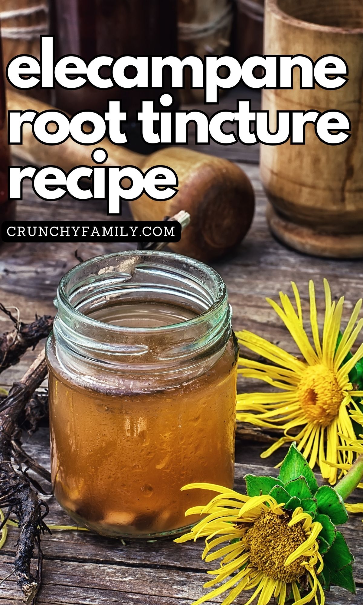 elecampane root tincture diy cough remedy herbal remedy