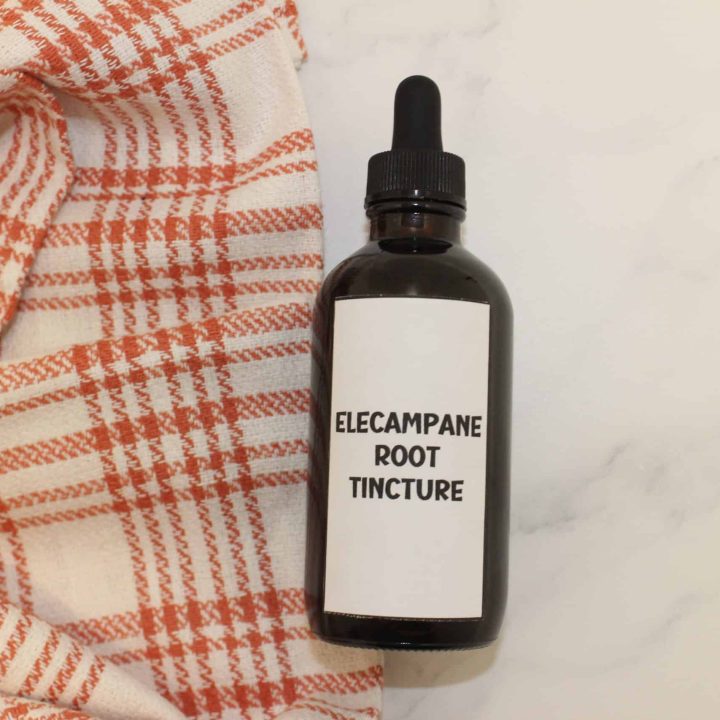 Elecampane Tincture Recipe