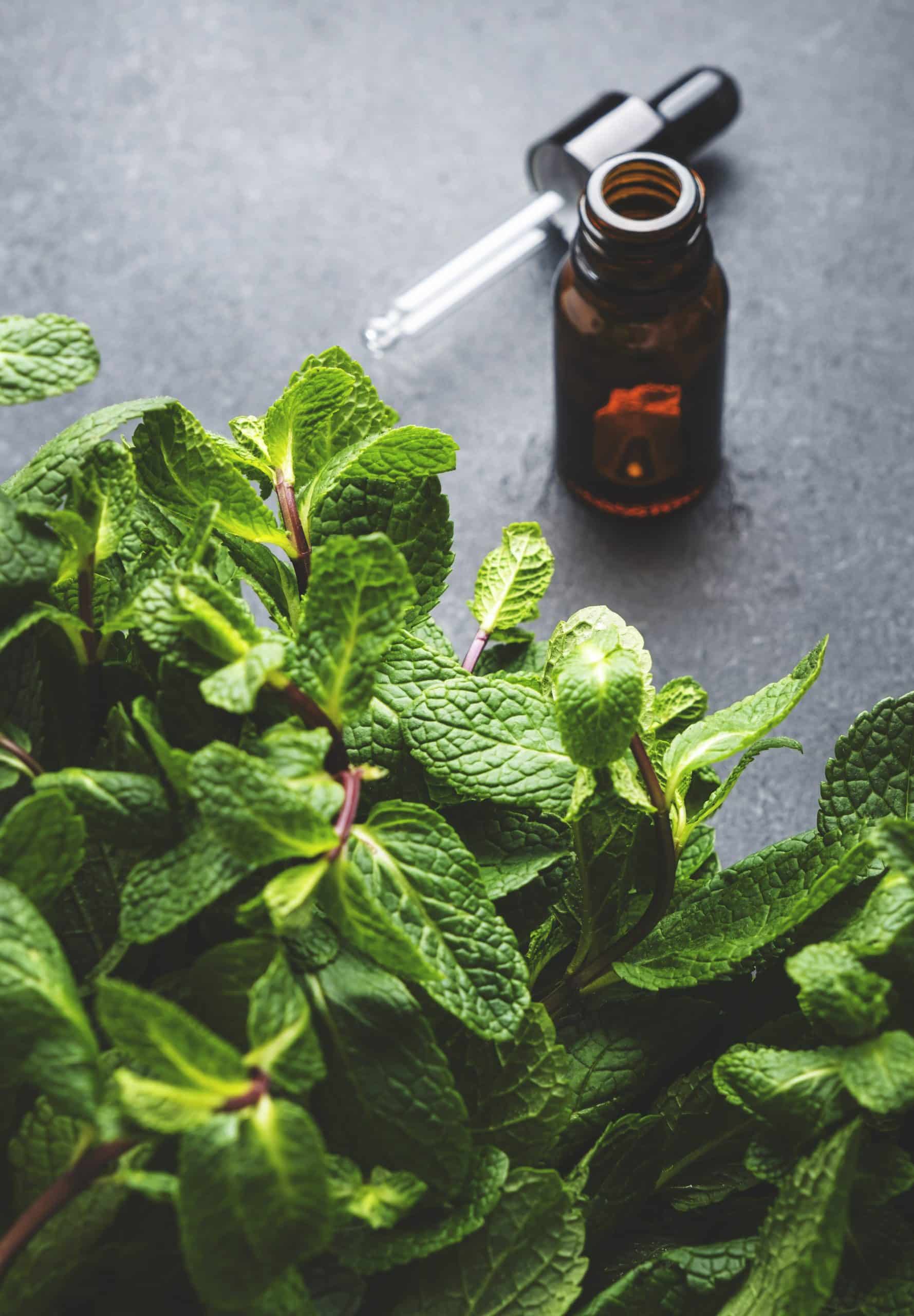peppermint essential oil