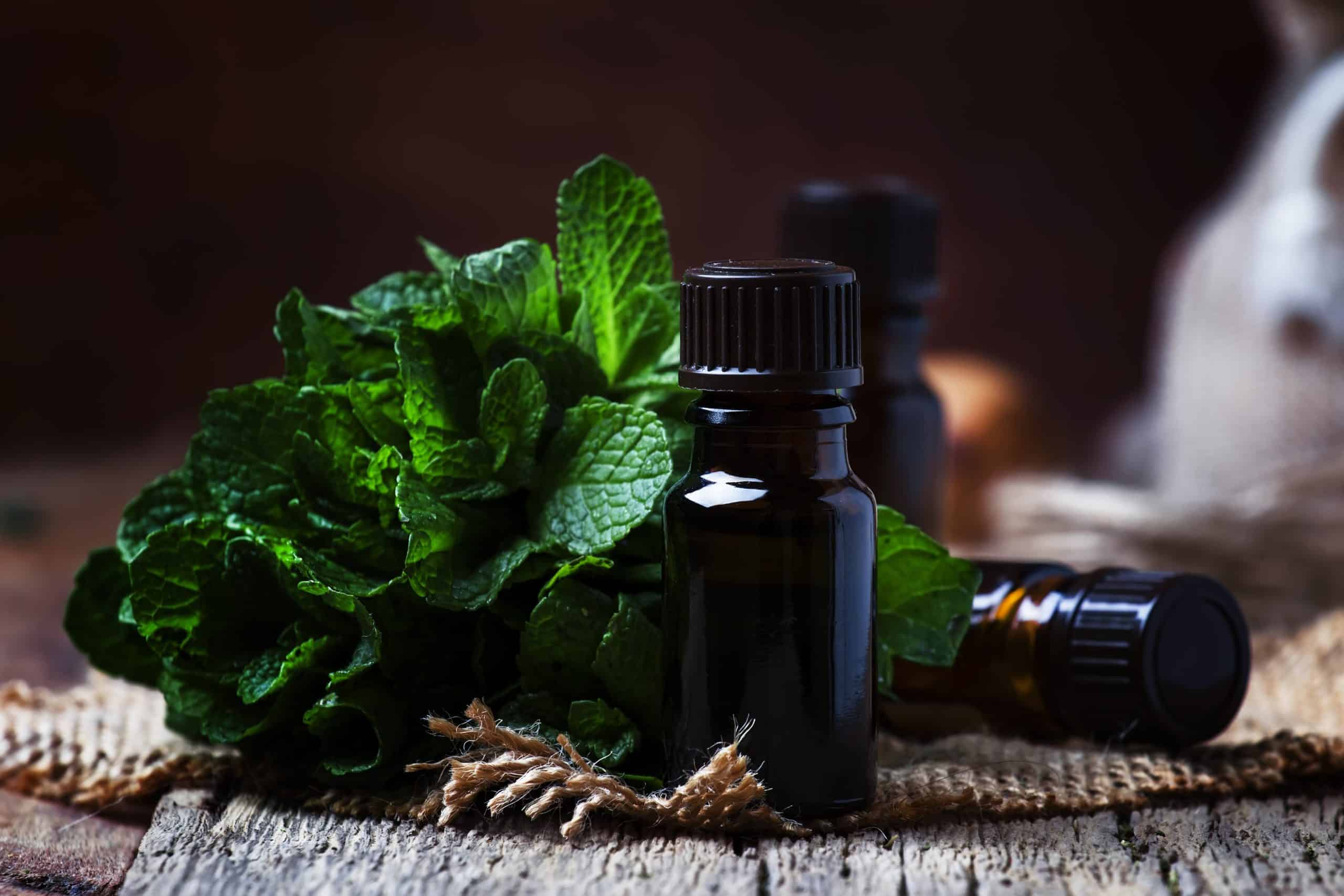peppermint essential oil