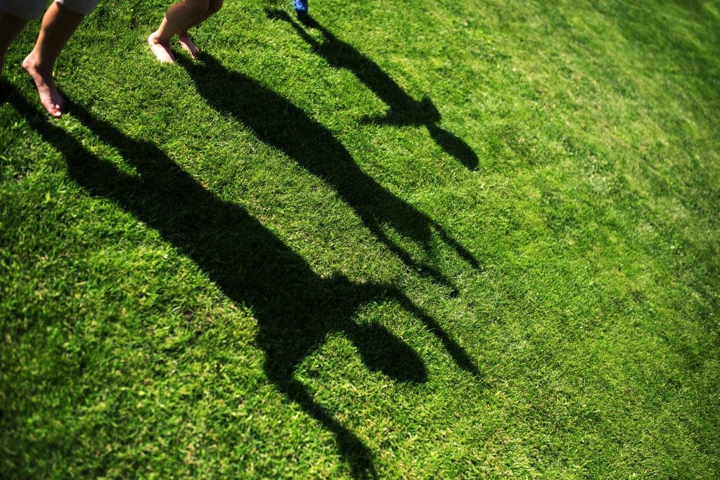 kids on the grass