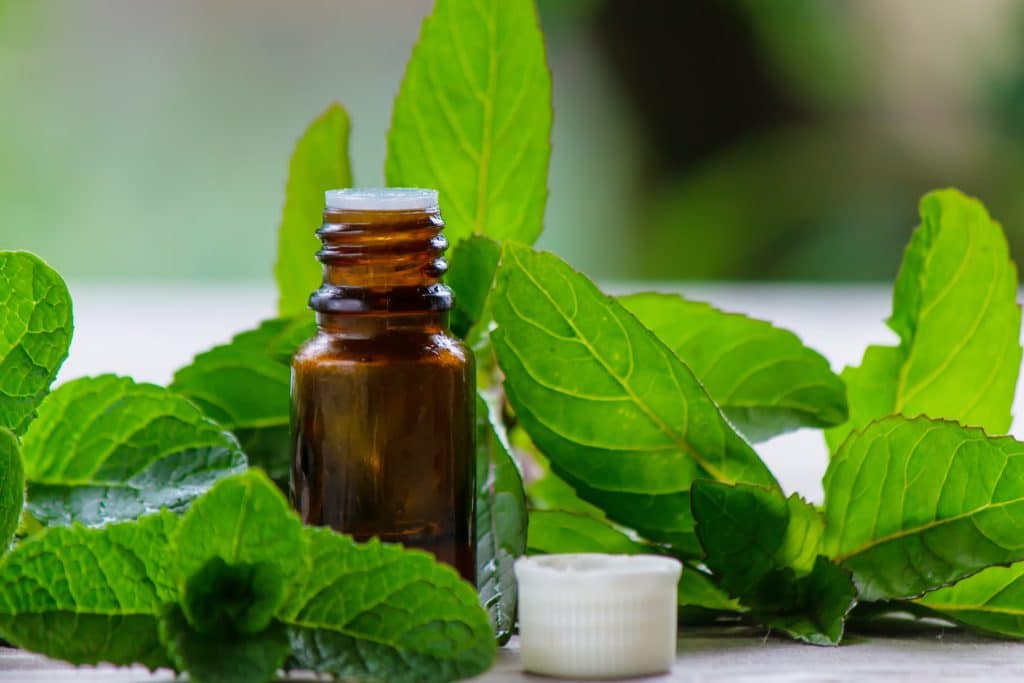 peppermint essential oil