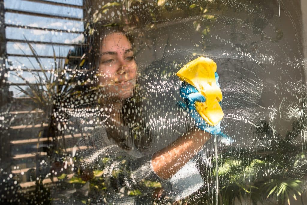 diy window cleaner non toxic