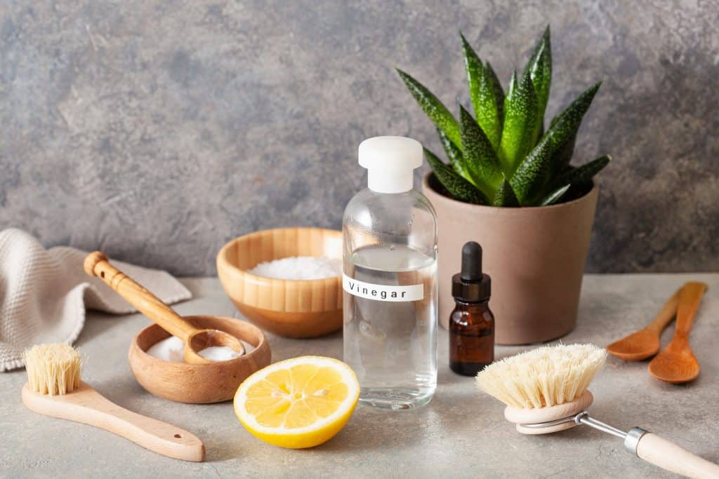 vinegar for cleaning