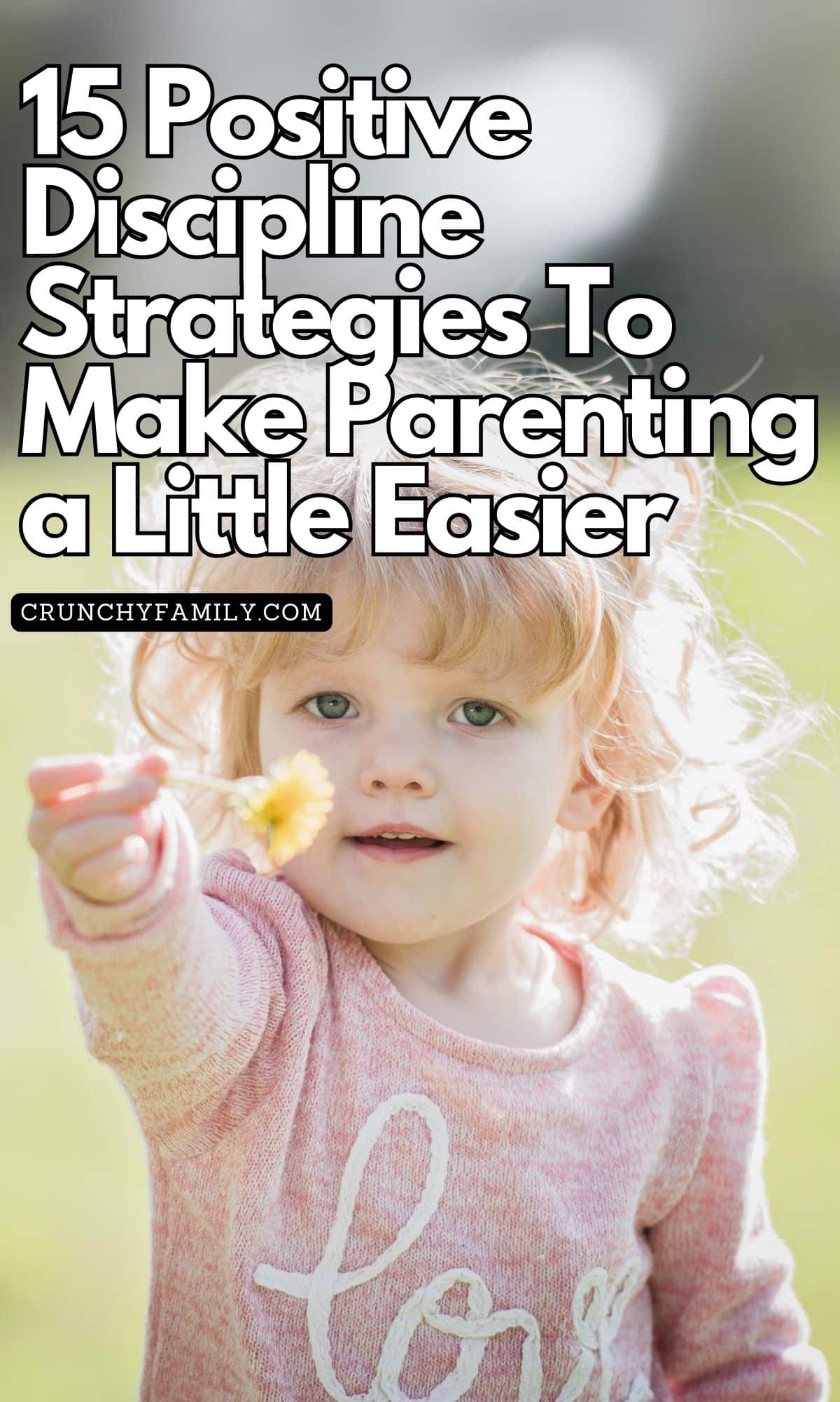positive discipline strategies for parenting toddlers 
