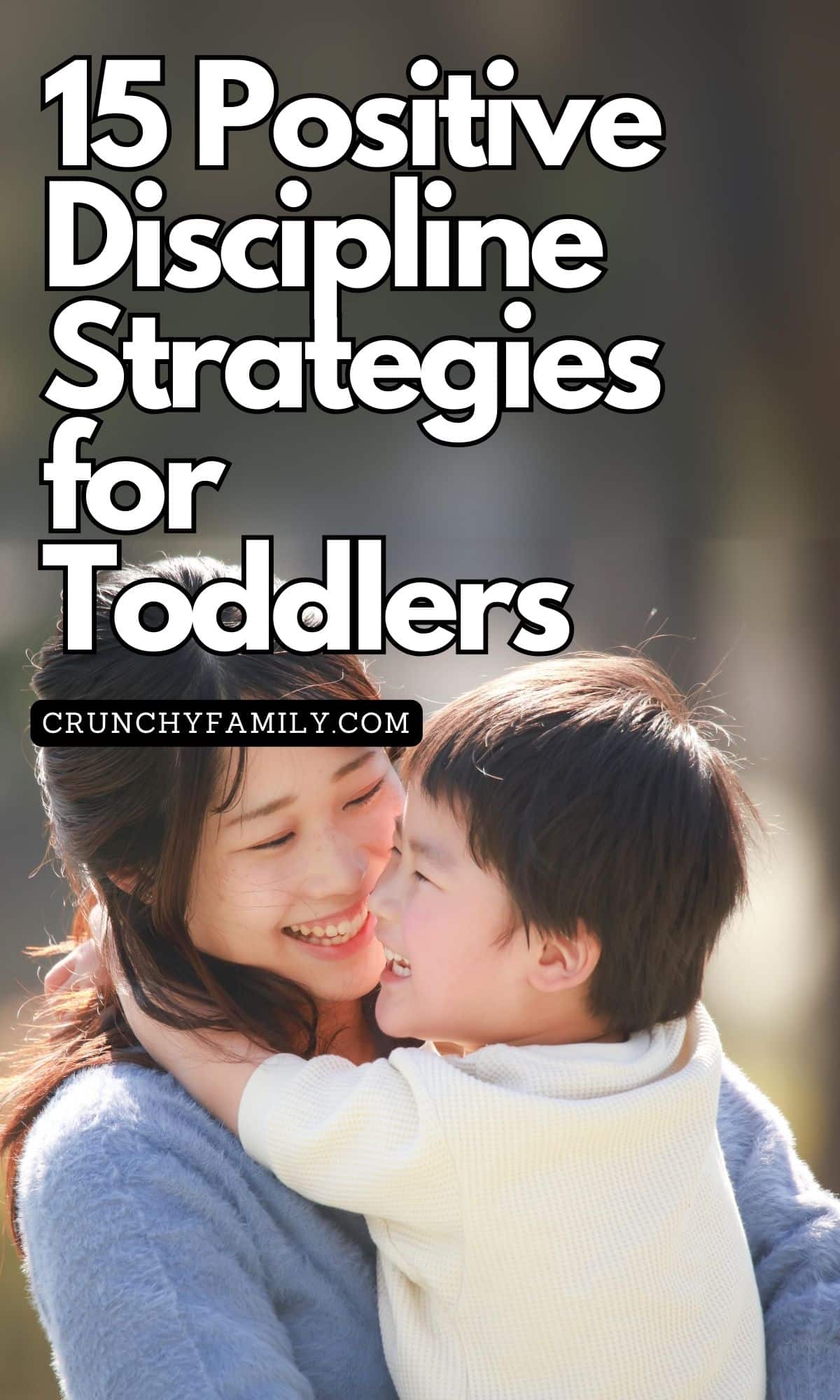 positive discipline strategies for parenting toddlers 