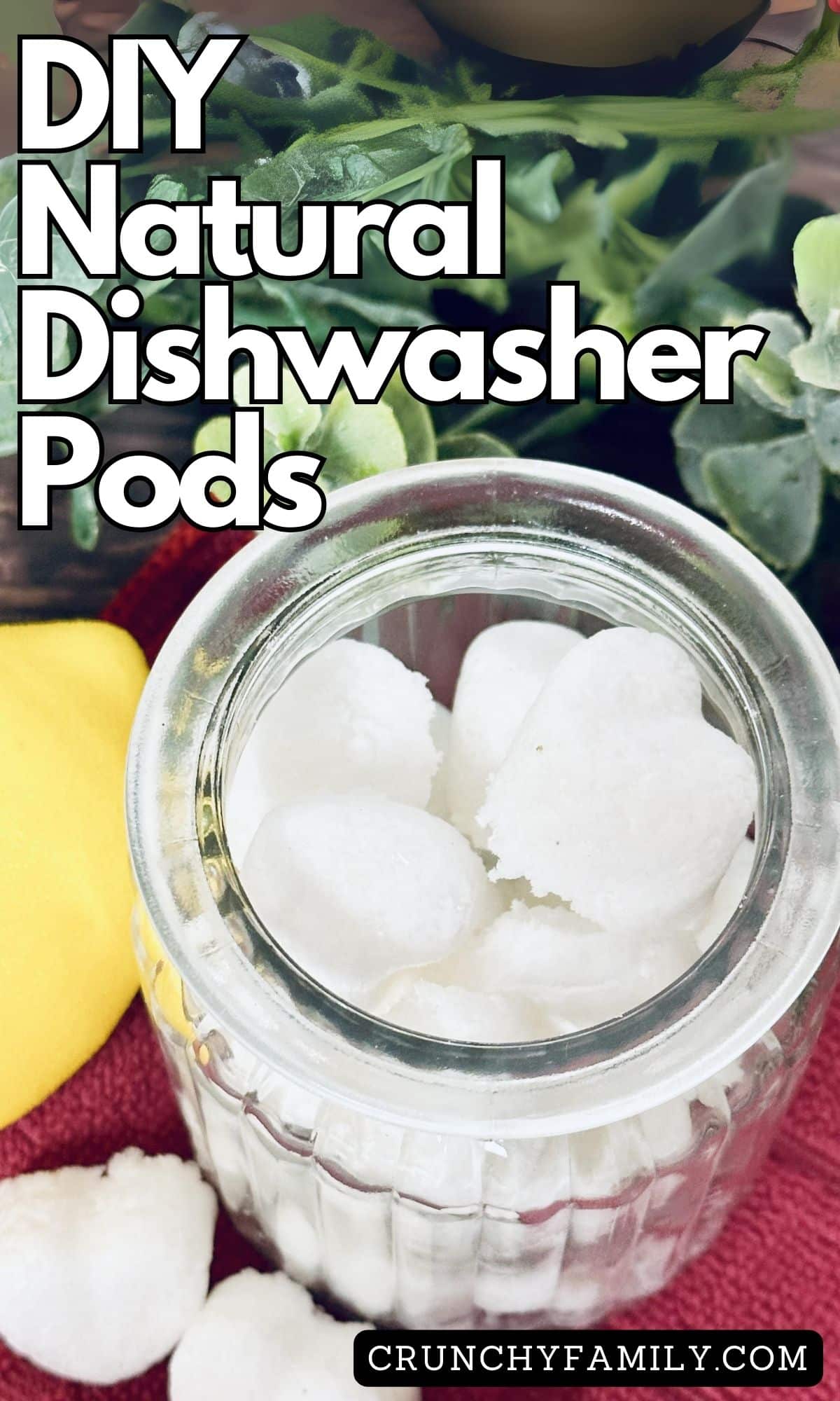 diy natural dishwasher pods