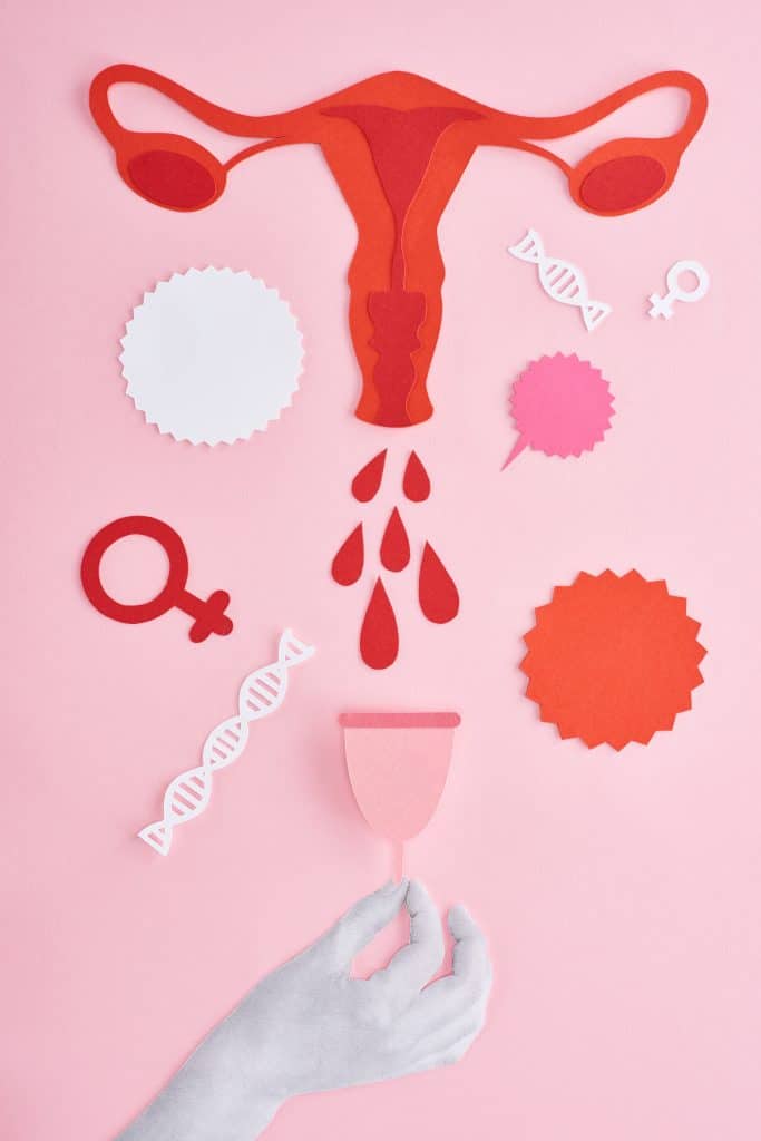 menstruation