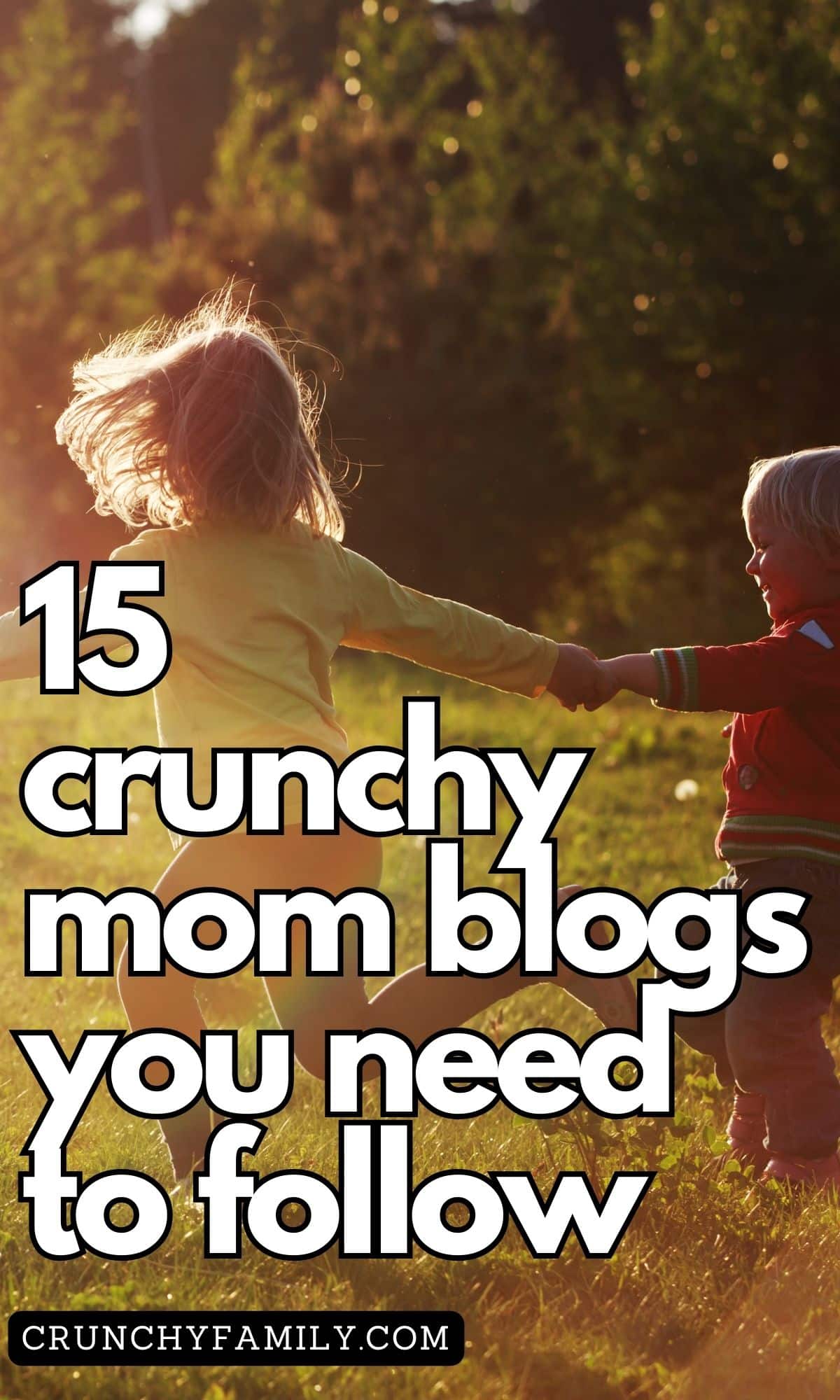 popular crunchy mom blogs