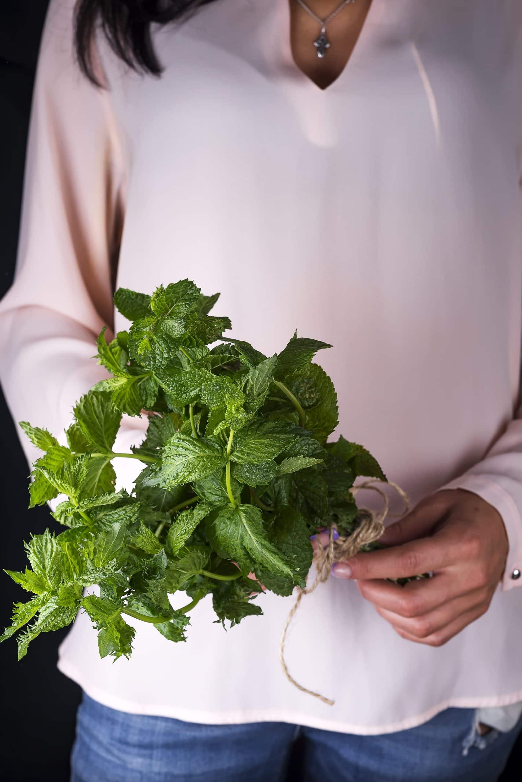 holding a bunch of mint
