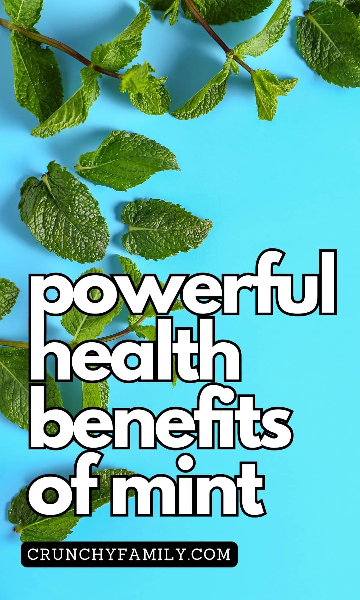 powerful health benefits of mint