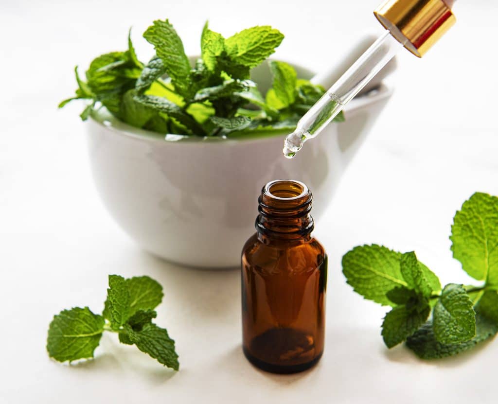 making mint essential oil