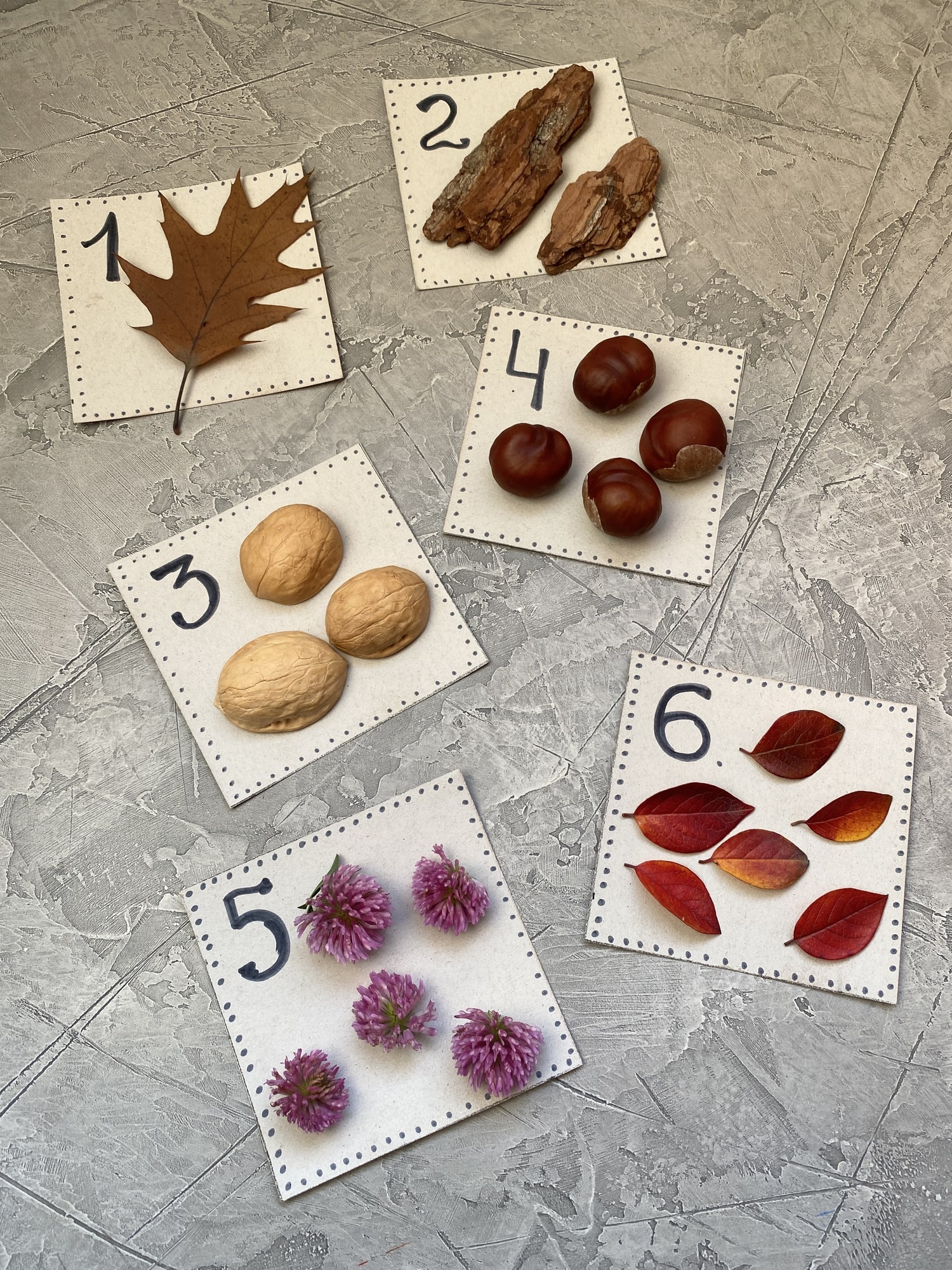 homemade nature counting cards