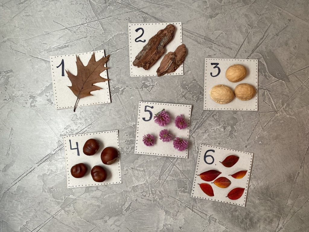 homemade nature items counting cards