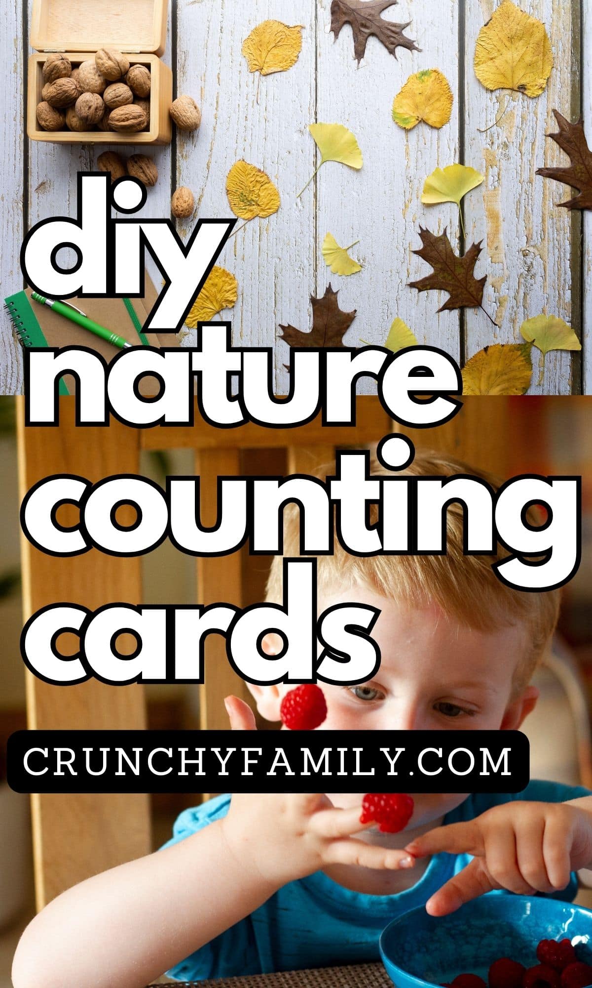 diy nature counting cards