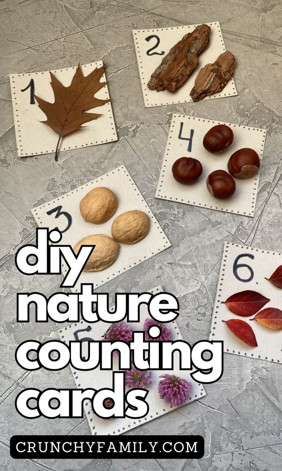 DIY Nature Counting Cards - Crunchy Family