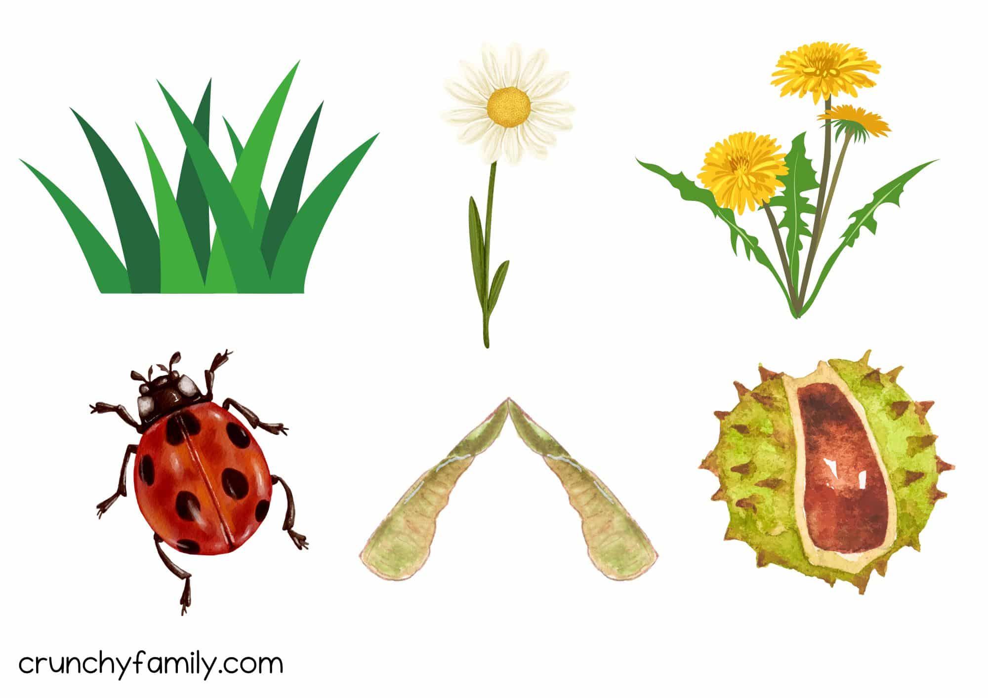 kids nature scavenger hunt printable