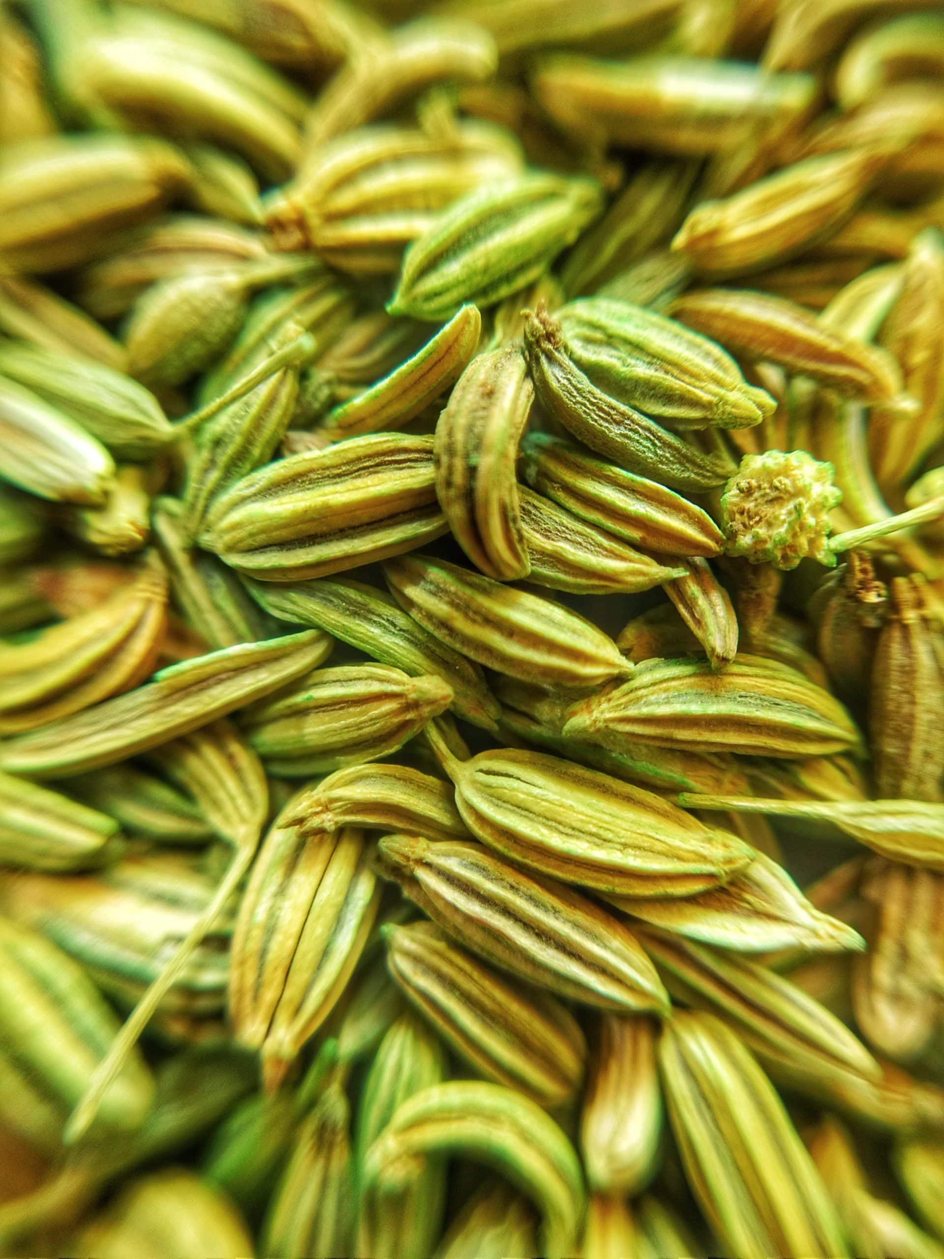 fennel seeds