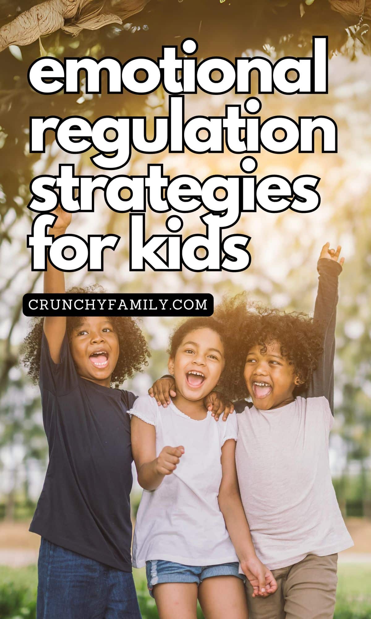 emotional regulation strategies to use with kids
