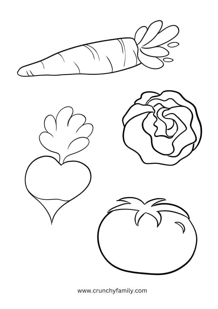 A Collection of Vegetables