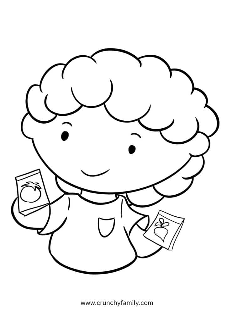 Seed Packet Explorer