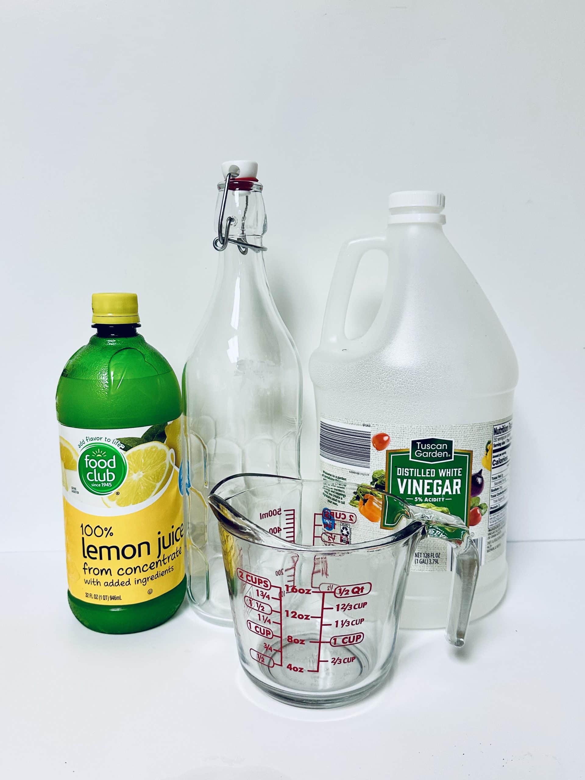 ingredients for natural produce wash