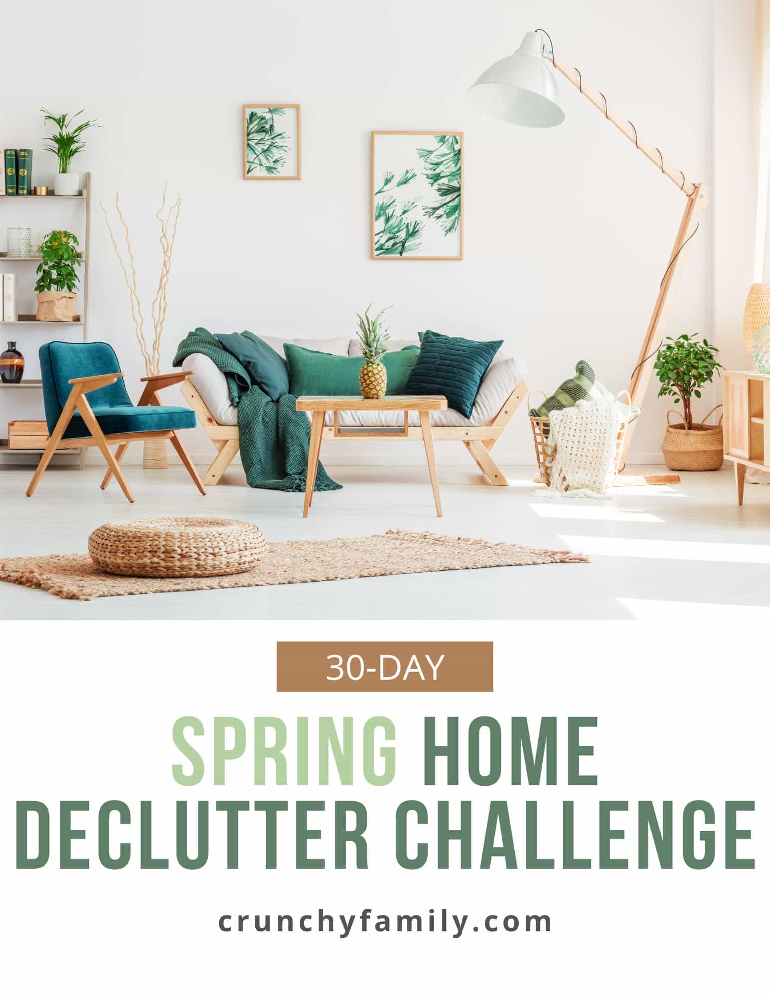 printable 30 day declutter challenge