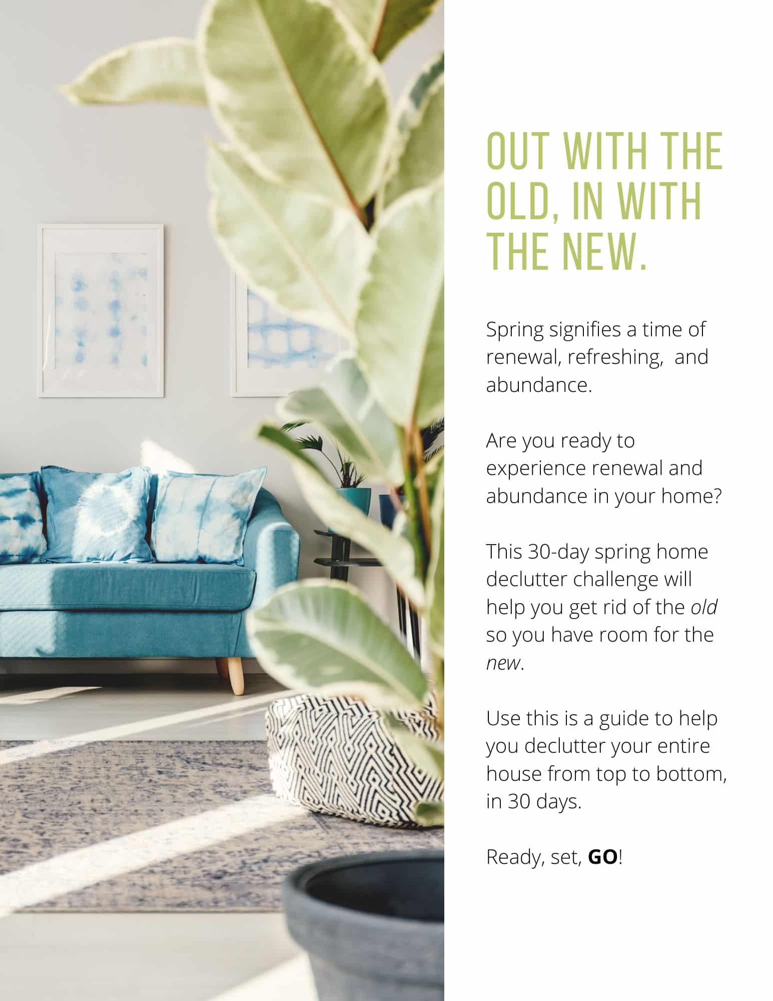 printable 30 day declutter challenge