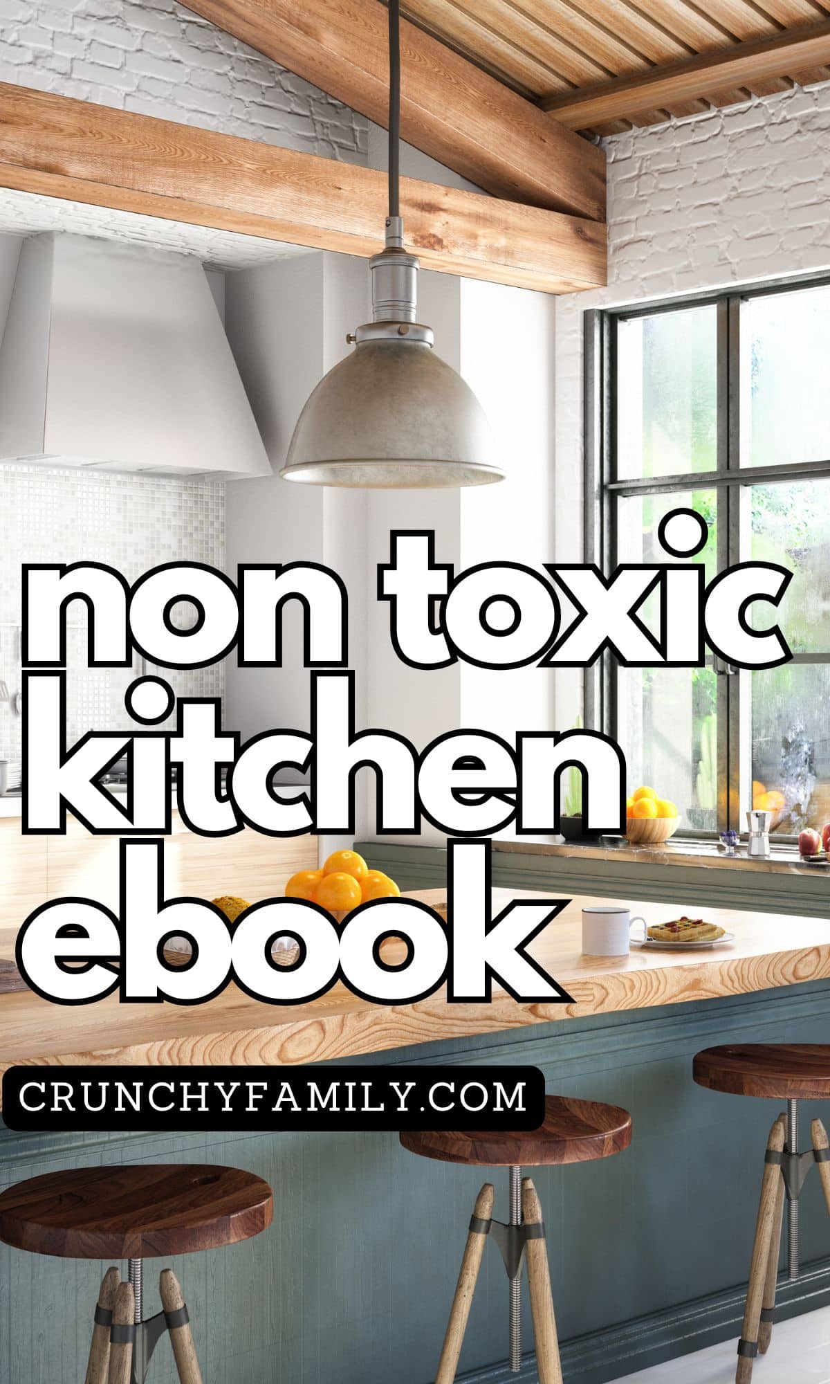 the non toxic kitchen ebook