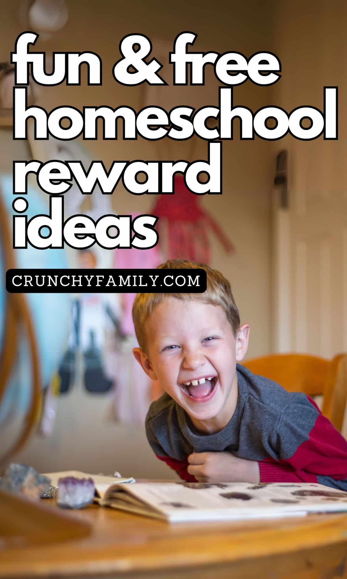 fun and free homeschool reward ideas