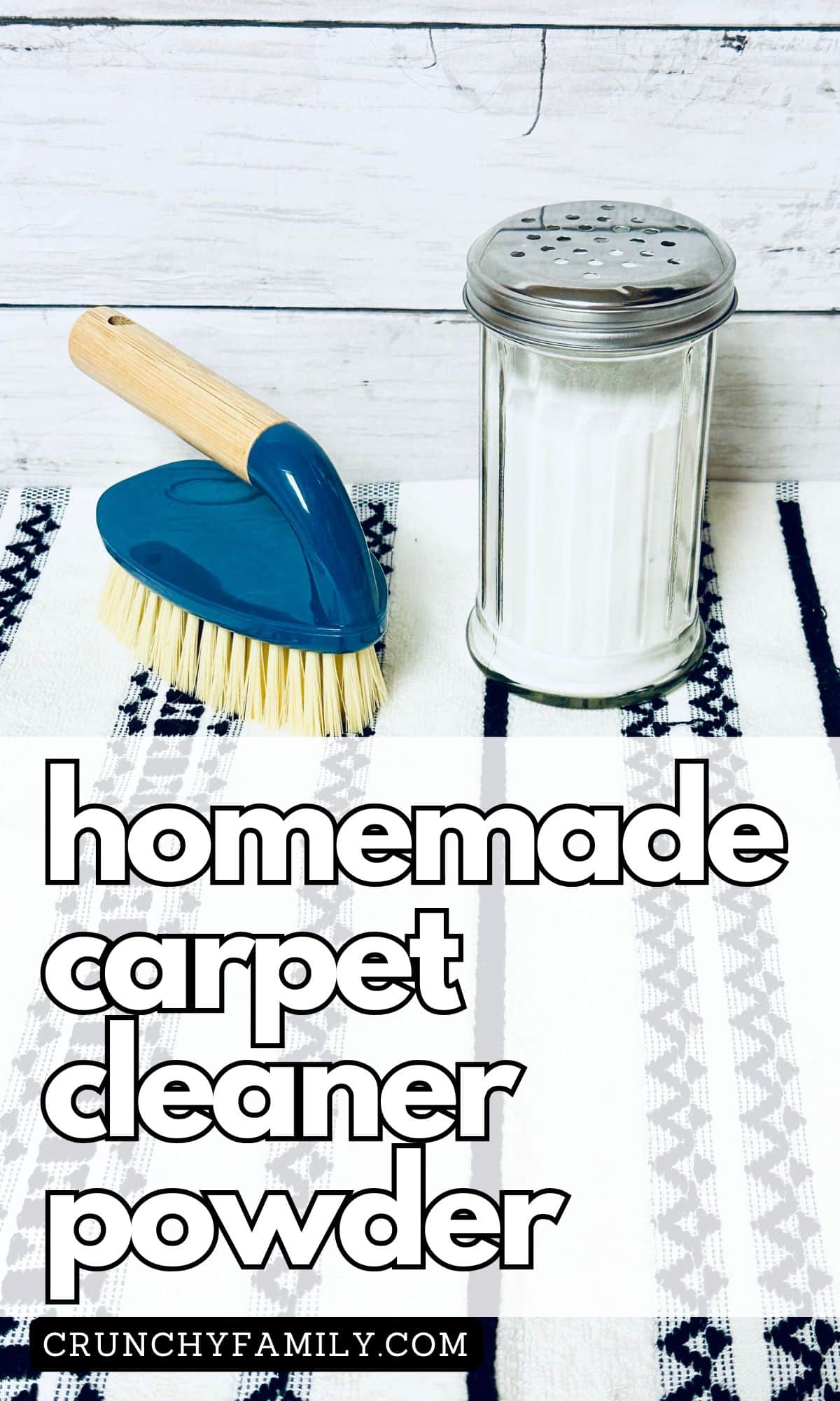 homemade carpet cleaner powder