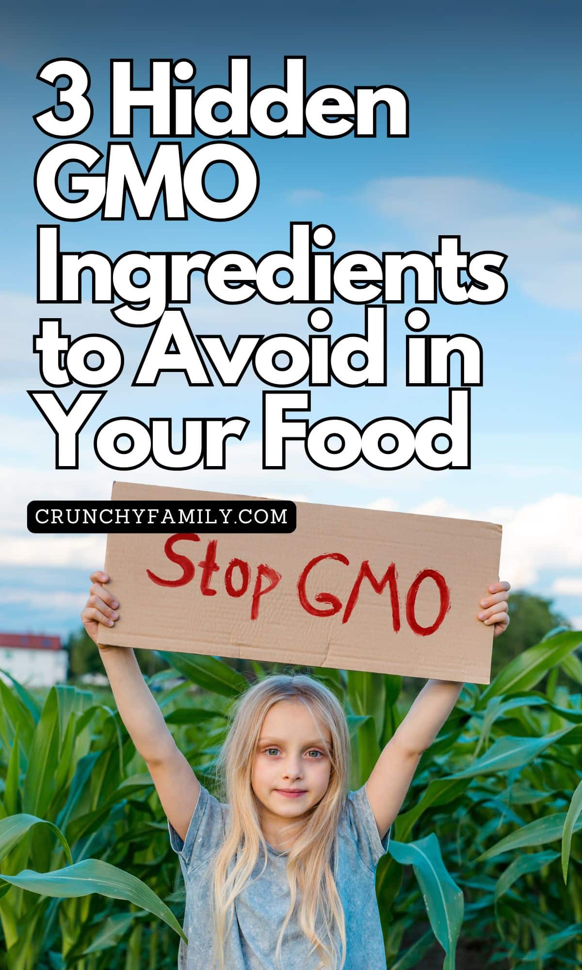 hidden gmo ingredients in food