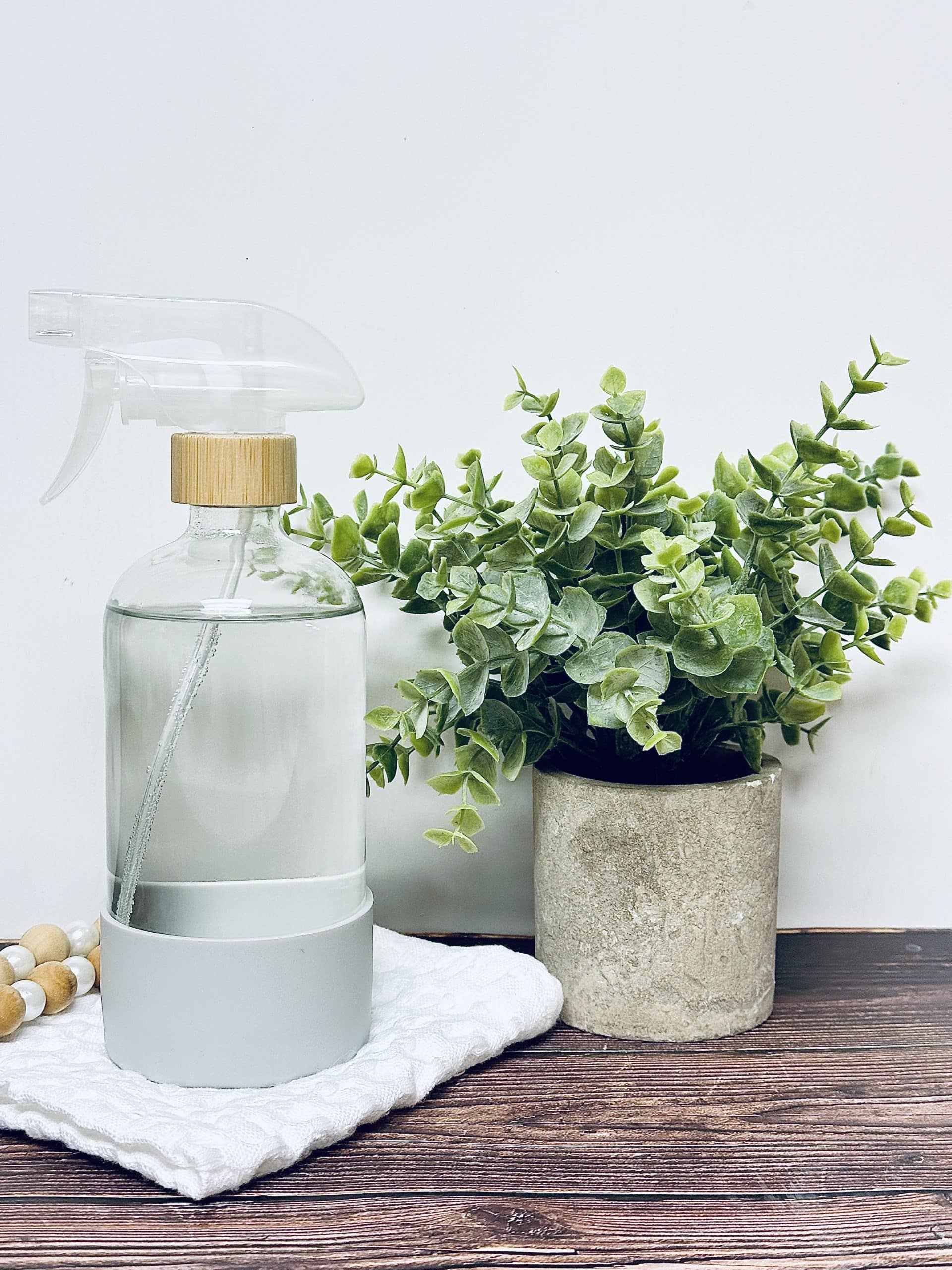 homemade spray for cleaning glass