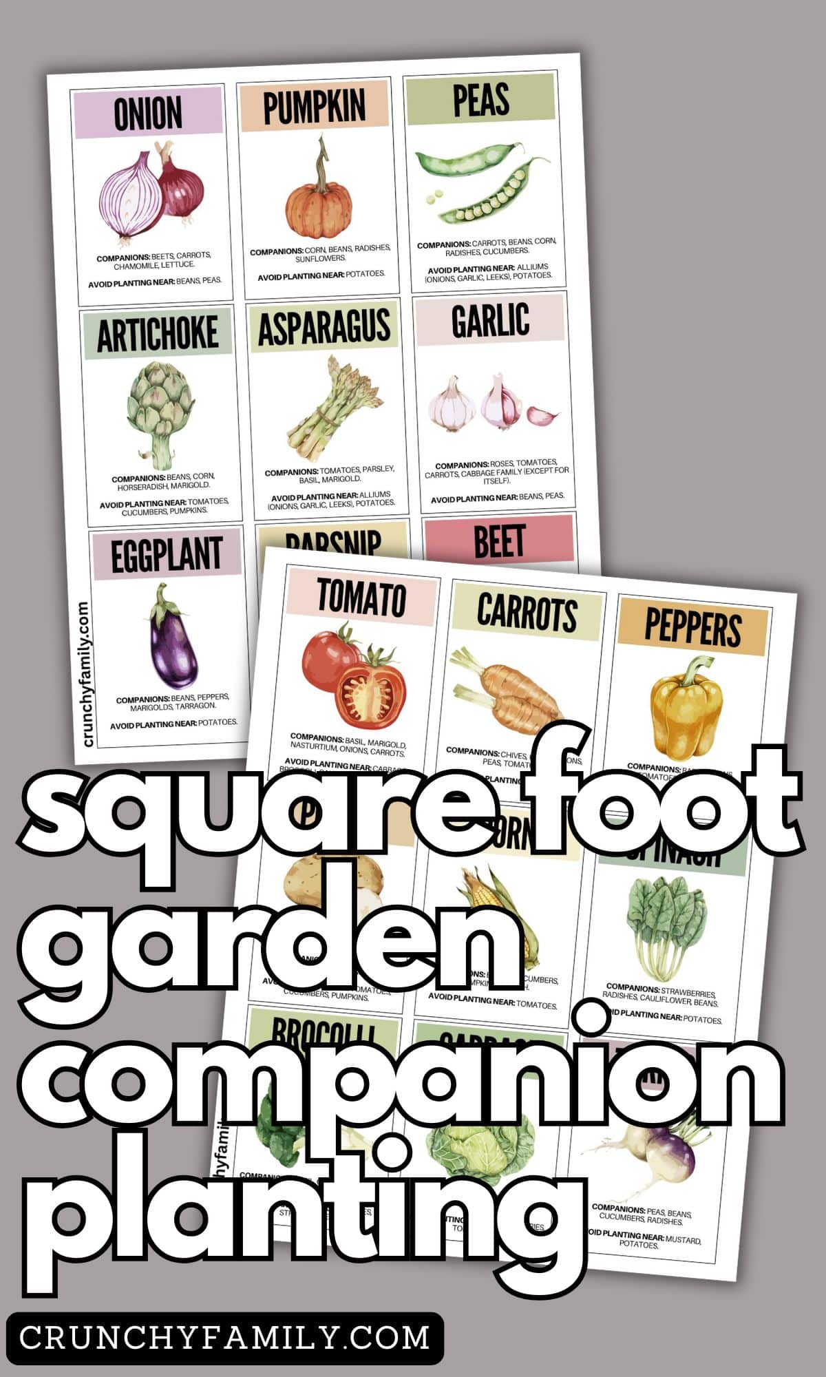 companion planting square foot garden chart 